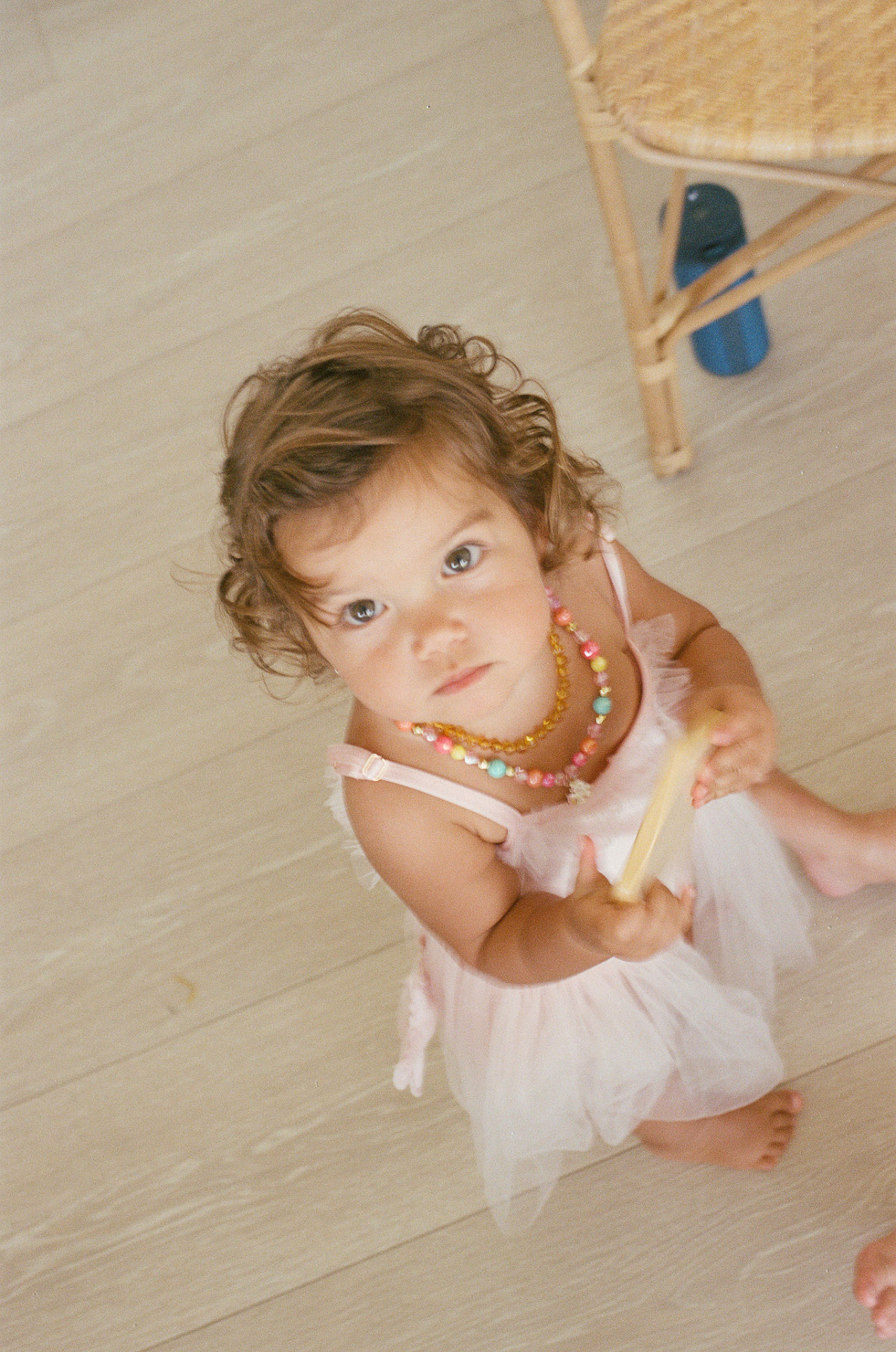 A little mini in a pink tutu looking up